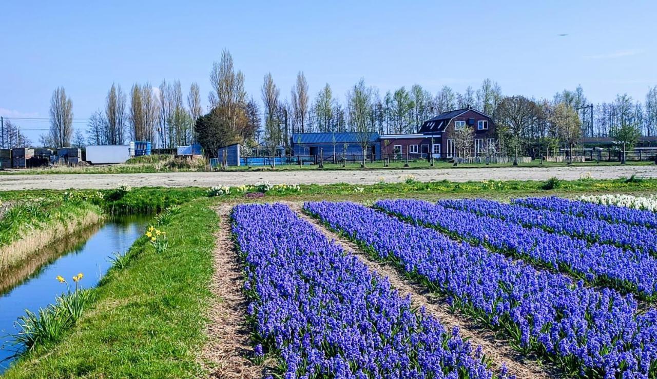 Het Dijkstuk Villa Noordwijkerhout Eksteriør bilde