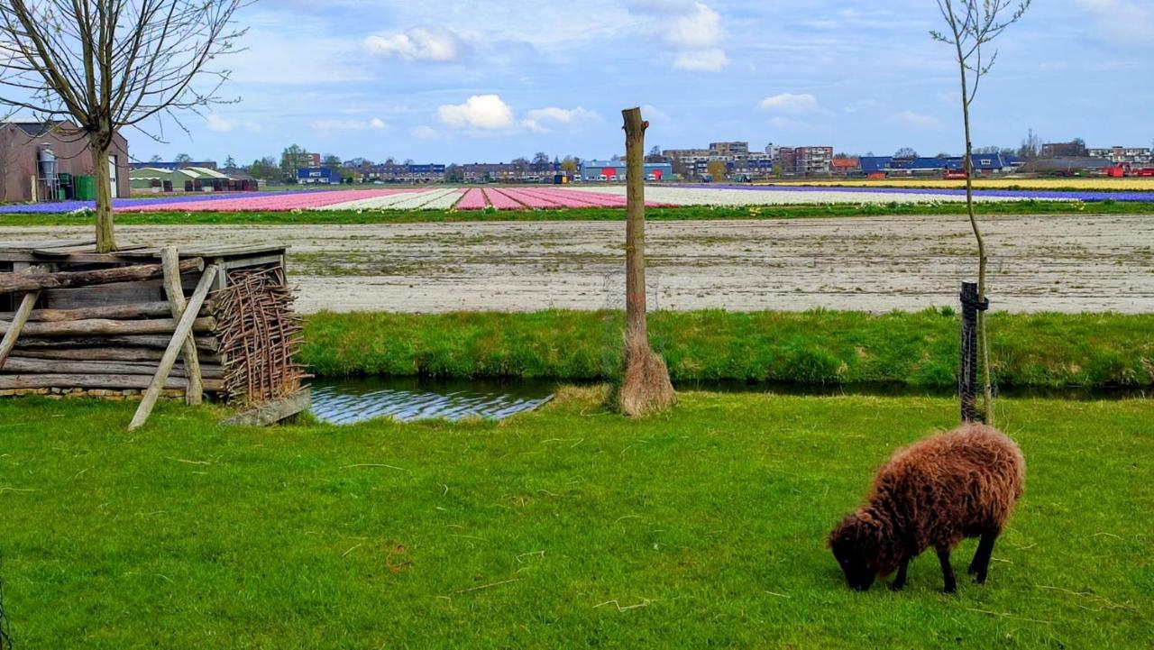 Het Dijkstuk Villa Noordwijkerhout Eksteriør bilde